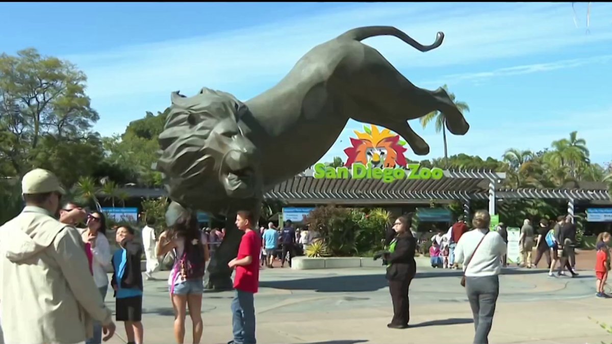 City could raise San Diego Zoo’s rent from $0 to $3M in new lease agreement – NBC 7 San Diego
