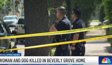 Police investigate fatal shooting of woman and dog in Beverly Grove – NBC Los Angeles