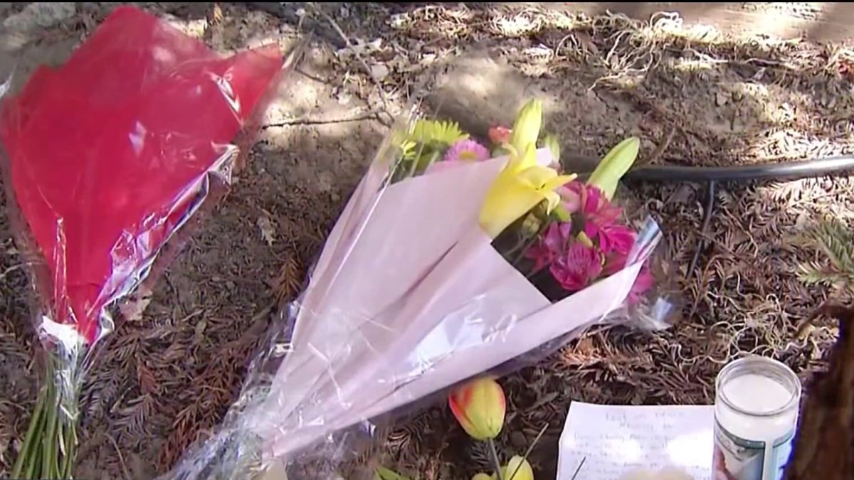 Concerns mount after another deadly e-bike crash in Bay Area – NBC Bay Area