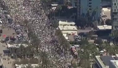 Rallies across San Diego County held to protest Trump administration – NBC 7 San Diego