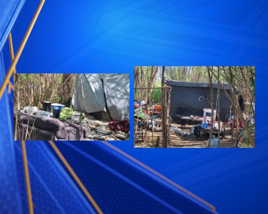 Bakersfield police arrest 14, seize 15 dogs in encampment sweep along Kern River
