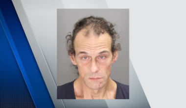 Sterling Heights man charged in deadly drunk driving crash in Oakland County pleads guilty