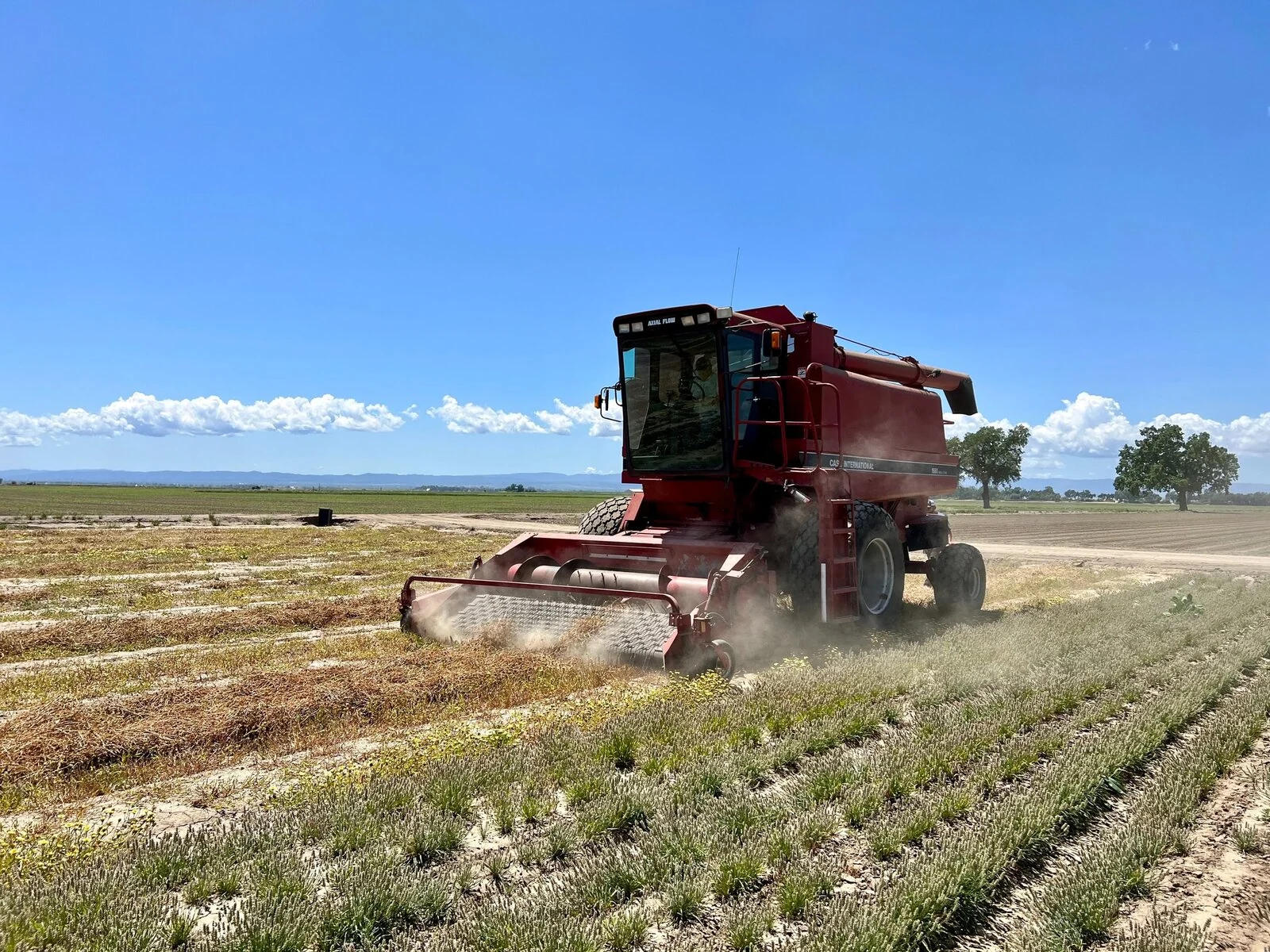A tractor working a field.