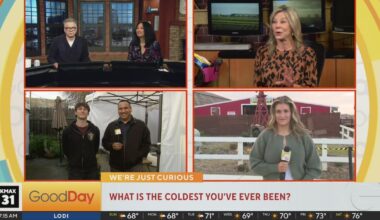 We're just Curious 3/1 - Good Day Sacramento