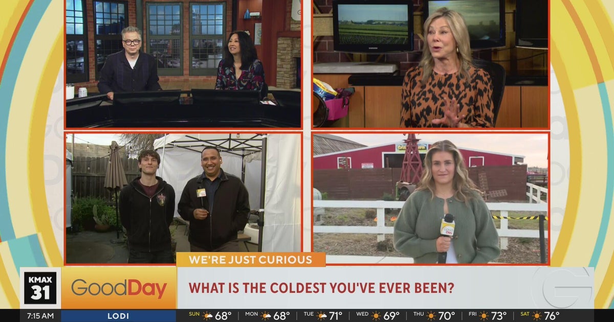 We're just Curious 3/1 - Good Day Sacramento