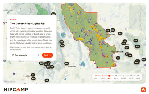 Screenshot of the interactive California superbloom forecast.