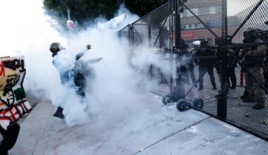 Dozens arrested for failing to disperse after 'No Kings' rally in Los Angeles :: WRAL.com