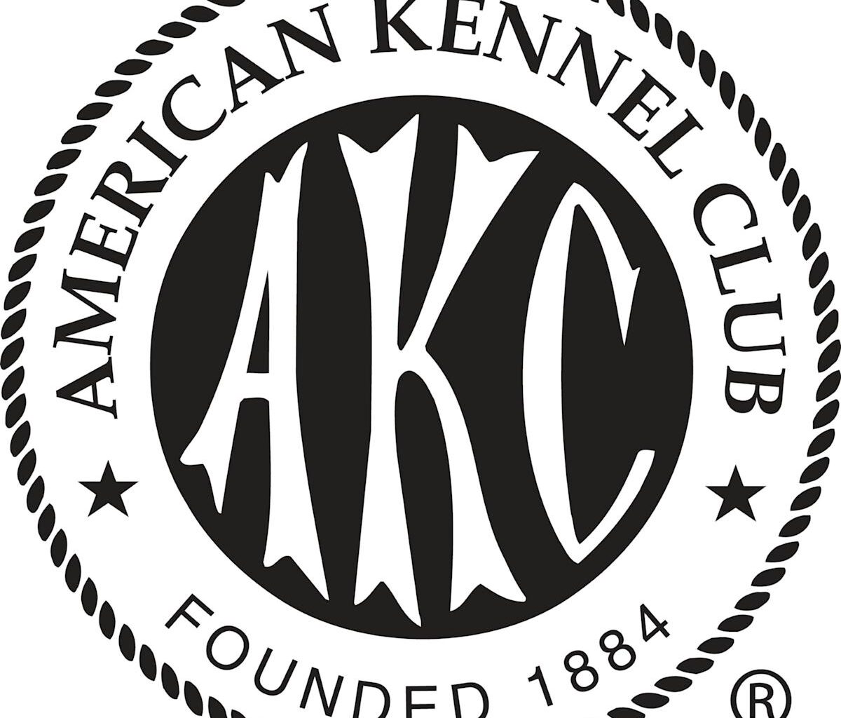 San Francisco is 'Gonna be Golden' as Golden Retriever Unseats French Bulldog as City's Top Dog