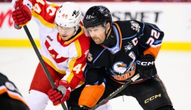 Wranglers 90 second comeback falls short against the Gulls