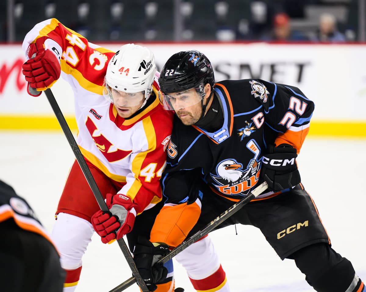 Wranglers 90 second comeback falls short against the Gulls