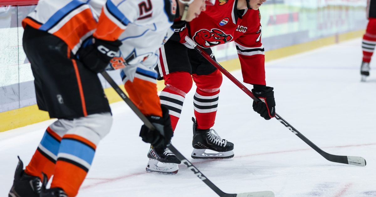 Rockford IceHogs | Game Preview: IceHogs Wrap Up Weekend in San Diego