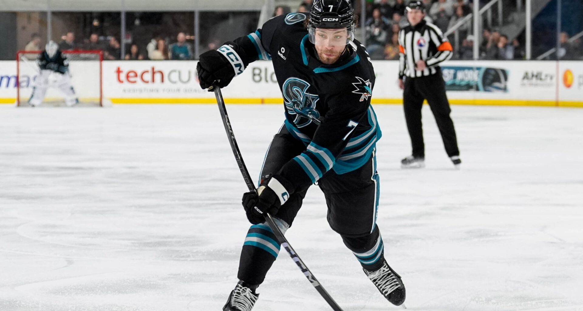 Sharks Call Up Nolan Allan From Barracuda