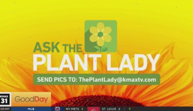 The Plant Lady, 9am Pt. 1