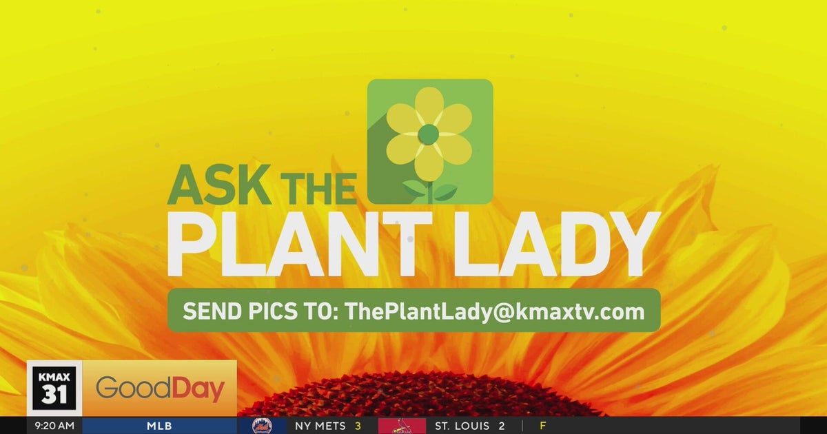The Plant Lady, 9am Pt. 1