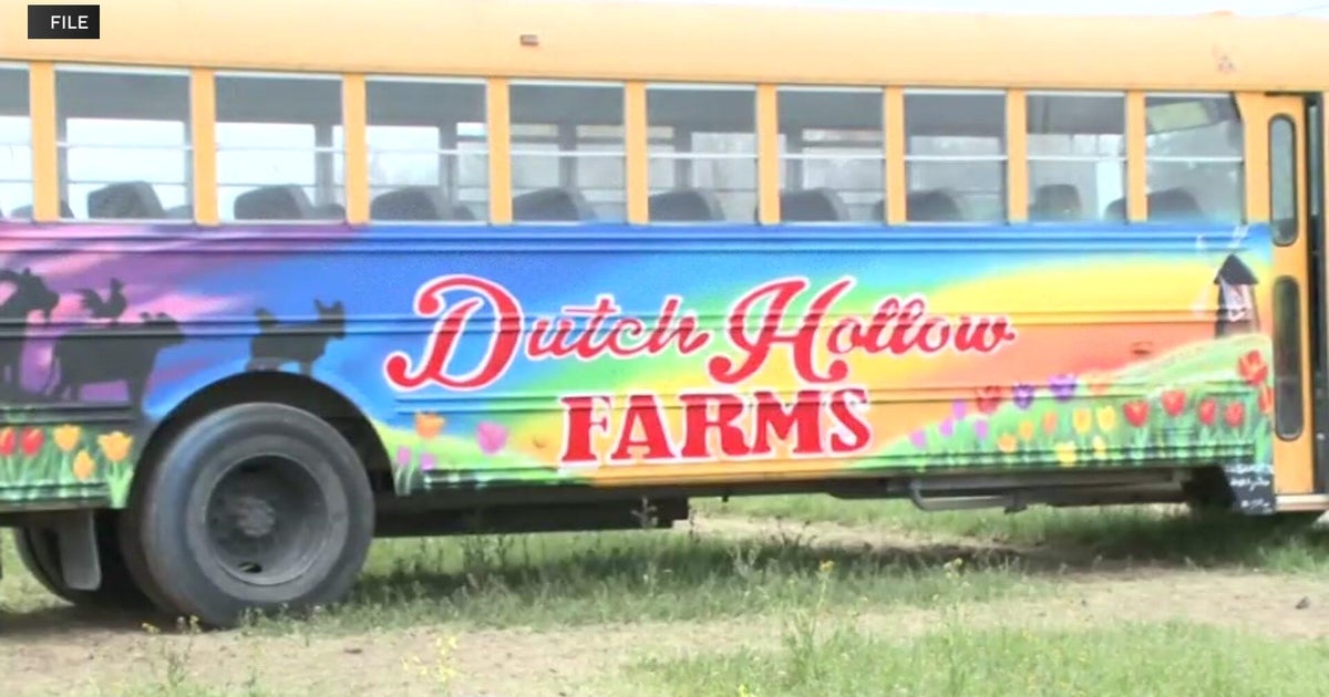 Central California farm closes tulip fields early after crop was "trampled"
