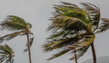 Pasadena Under Wind Advisory as Strong Northeast Gusts Hit Region – Pasadena Now