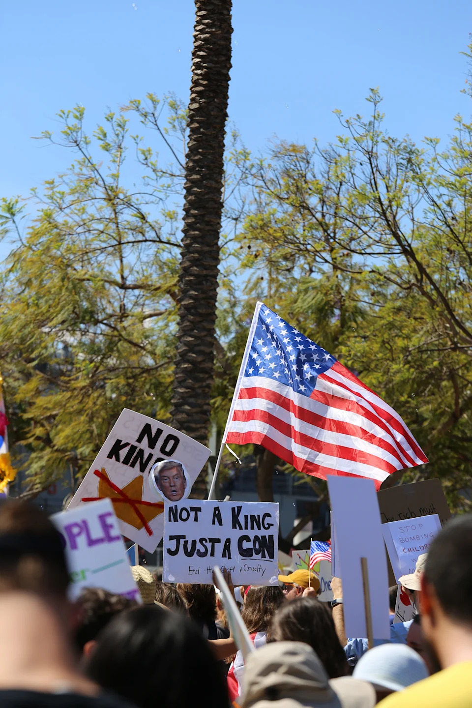 People hold up signs during the march (Take Action San Diego).