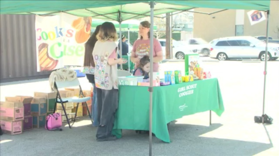 Yahoo lifestyle home