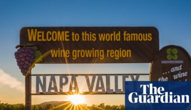 Shifting tastes, shrinking sales: Napa Valley’s wineries adapt amid ‘shocking’ downturn | California