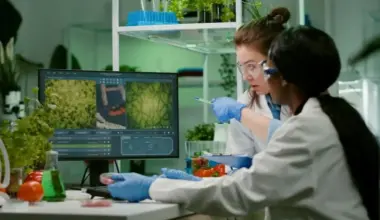 Food Ingredients First logo