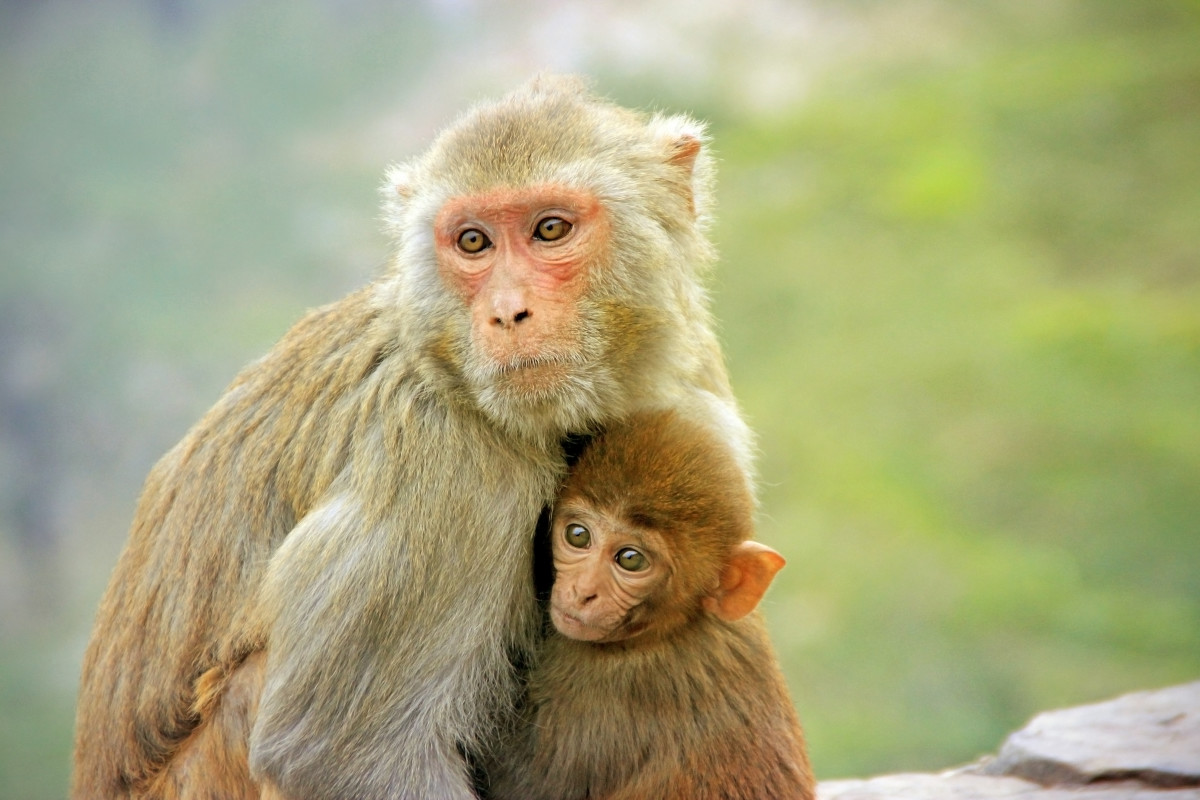 Yahoo lifestyle home