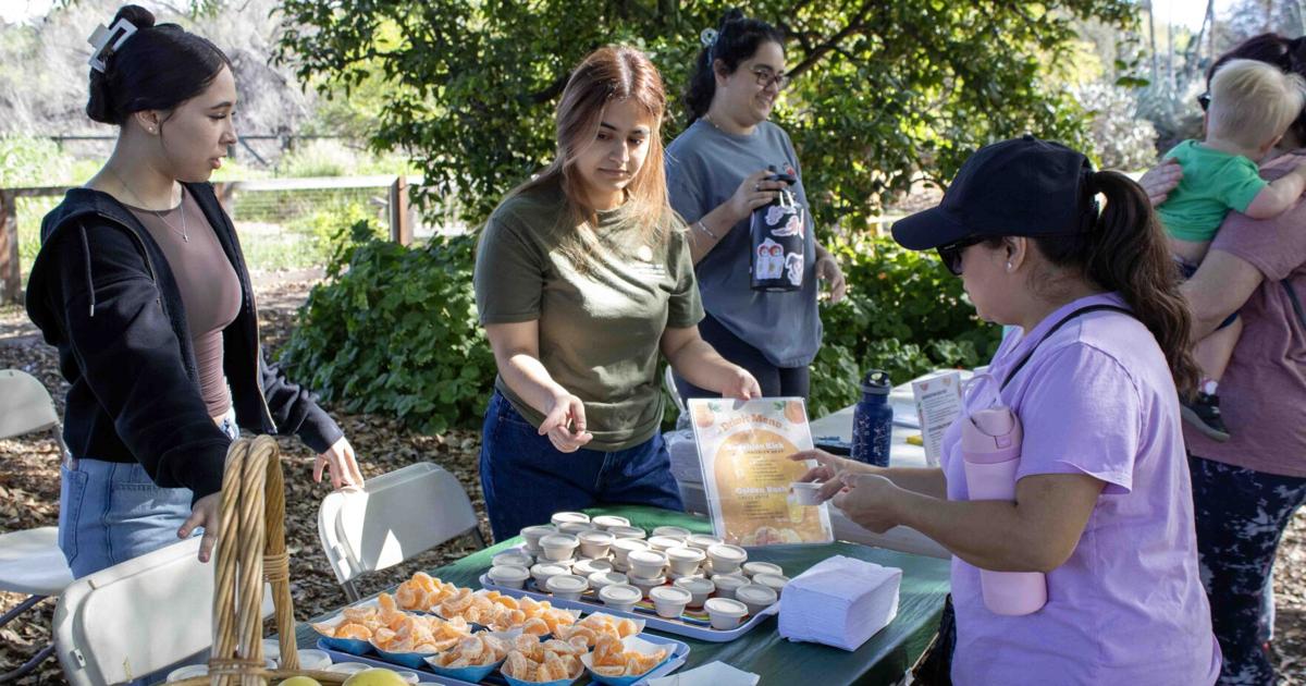Fruit-filled CSUF Arboretum event ensnares families’ senses of smell | Lifestyle