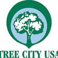 Free Arbor Day Trees Offered In Coronado | Coronado City News