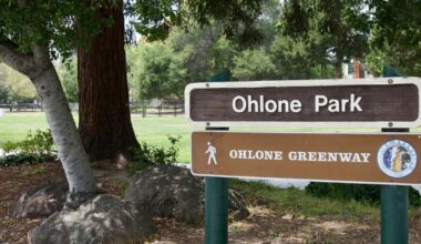 Unhoused person found dead near Ohlone Greenway | City