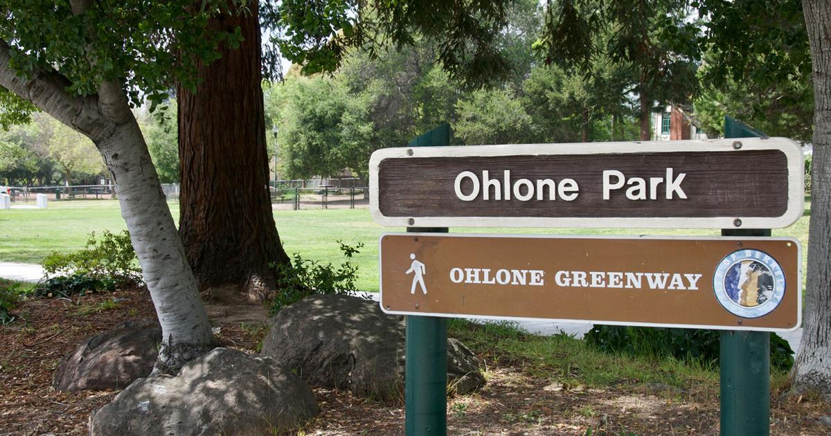 Unhoused person found dead near Ohlone Greenway | City