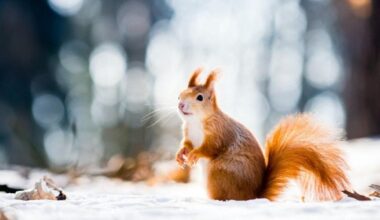 Coldest Marches in California since 1895 | State