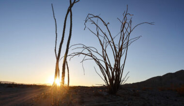 San Diego County Landmarks Make Ballot For ‘Best Of State Parks' | Newsradio 600 KOGO