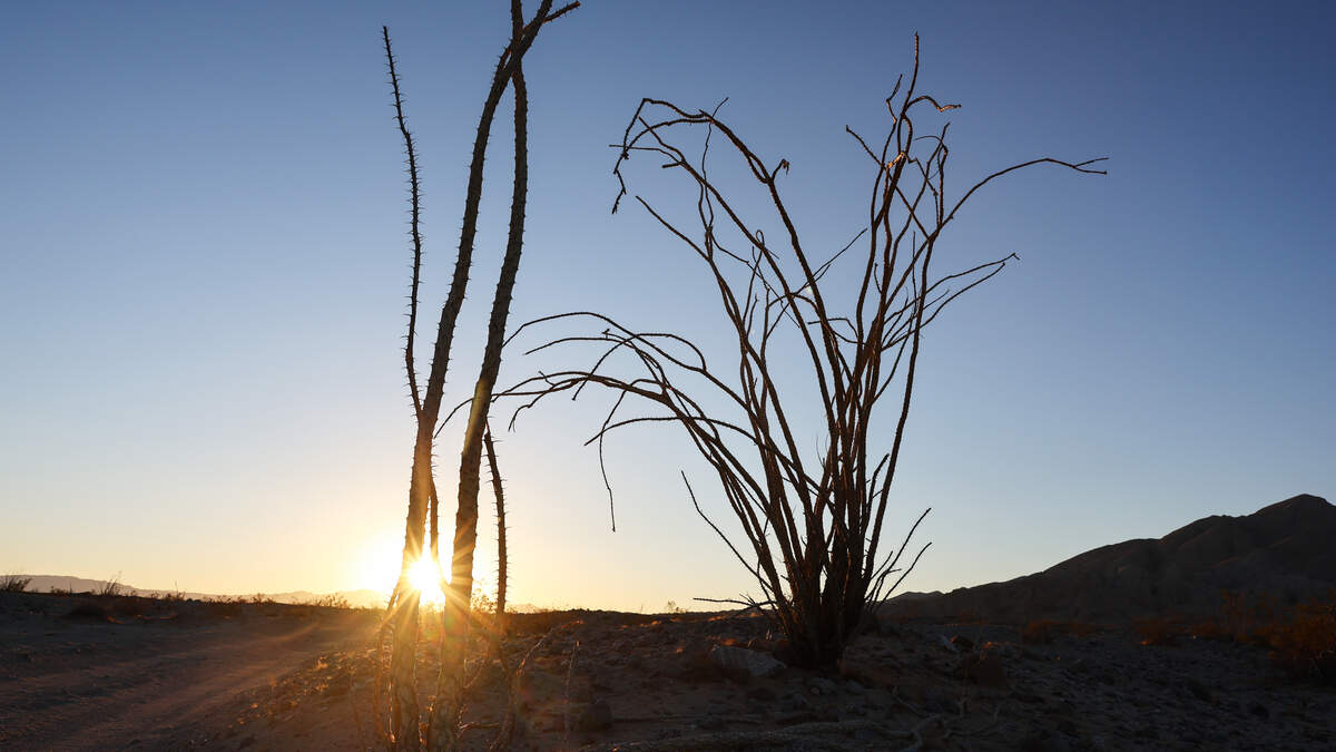 San Diego County Landmarks Make Ballot For ‘Best Of State Parks' | Newsradio 600 KOGO