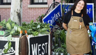 The Plant Chica: Sprouting wishlist — rare and unique — finds for homes | Business