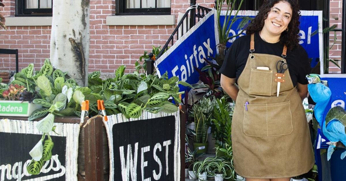 The Plant Chica: Sprouting wishlist — rare and unique — finds for homes | Business