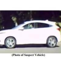 Police seek hit-and-run driver who seriously injured woman in Elysian Park | Echo Park News