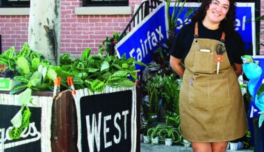 The Plant Chica: Sprouting wishlist — rare and unique — finds for homes | Business