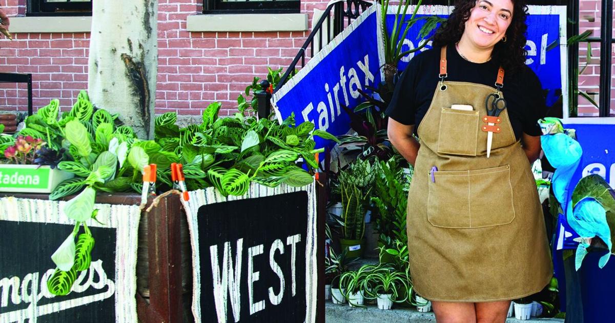 The Plant Chica: Sprouting wishlist — rare and unique — finds for homes | Business