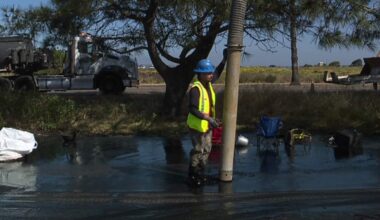 Sewage Closes Dog Beach | Newsradio 600 KOGO