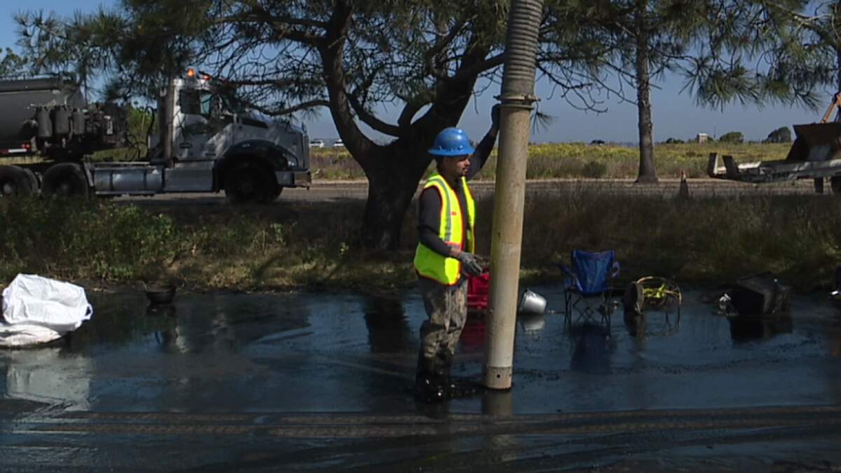 Sewage Closes Dog Beach | Newsradio 600 KOGO