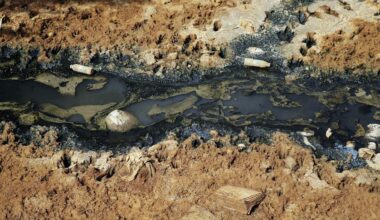 Dog Beach In OBTo Re-Open Following Sewage Discharge | STAR 94.1