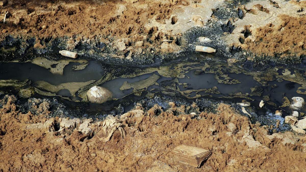 Dog Beach In OBTo Re-Open Following Sewage Discharge | STAR 94.1