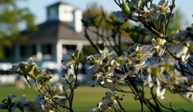 Masters will have no shortage of options for television viewers | Sports