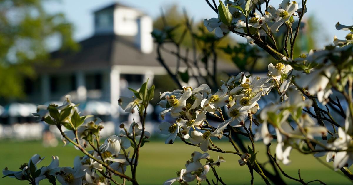 Masters will have no shortage of options for television viewers | Sports