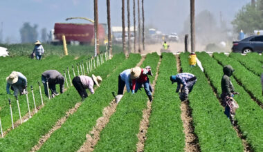 L.A. Marks Farm Workers Day Following César Chávez Holiday Change