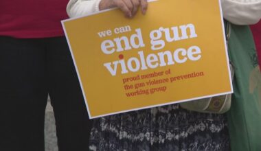 California lawmakers introduce package of gun safety bills