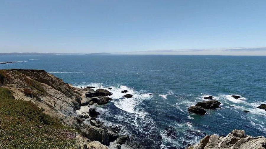 Bodega Head