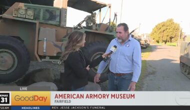 Bella Checks out Some Tanks!