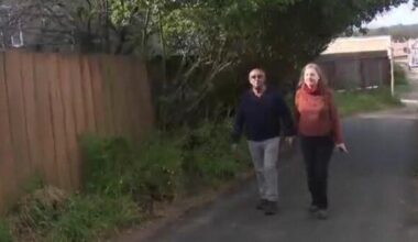 Dirty alley San Francisco couple unknowingly bought resells to artist