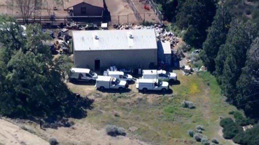 Authorities executed a warrant at a Lake Hughes property, rescuing 700 dogs and cats in what may be the largest animal seizure case in U.S. history. Courtesy: KCAL, KCBS{p}{/p}