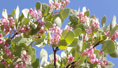 Yahoo lifestyle home